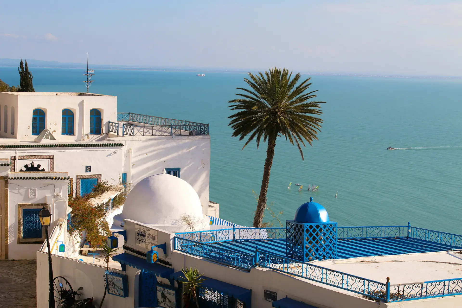 Excursion Sidi Bou Said: a white dome, blue railings and a palm tree above the Gulf of Tunis