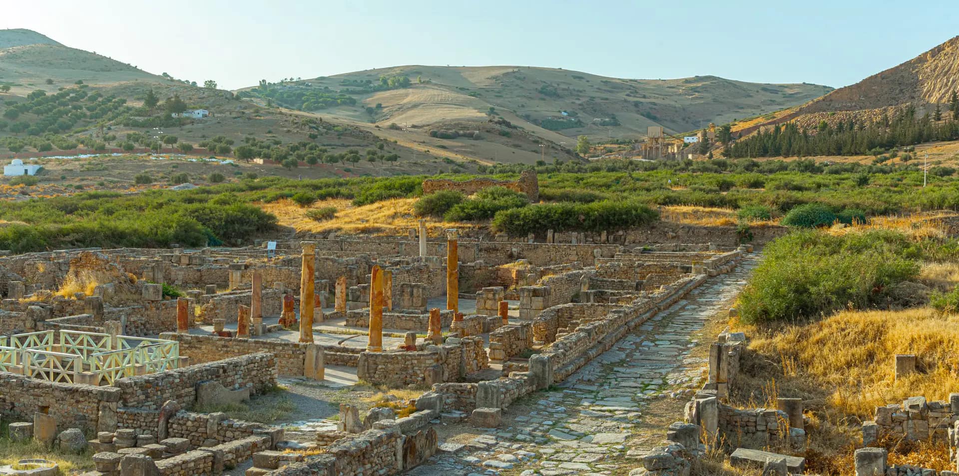 Columns and a paved Roman street among the ruins of Bulla Regia, with green hills behind